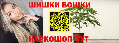 СК Волгодонск