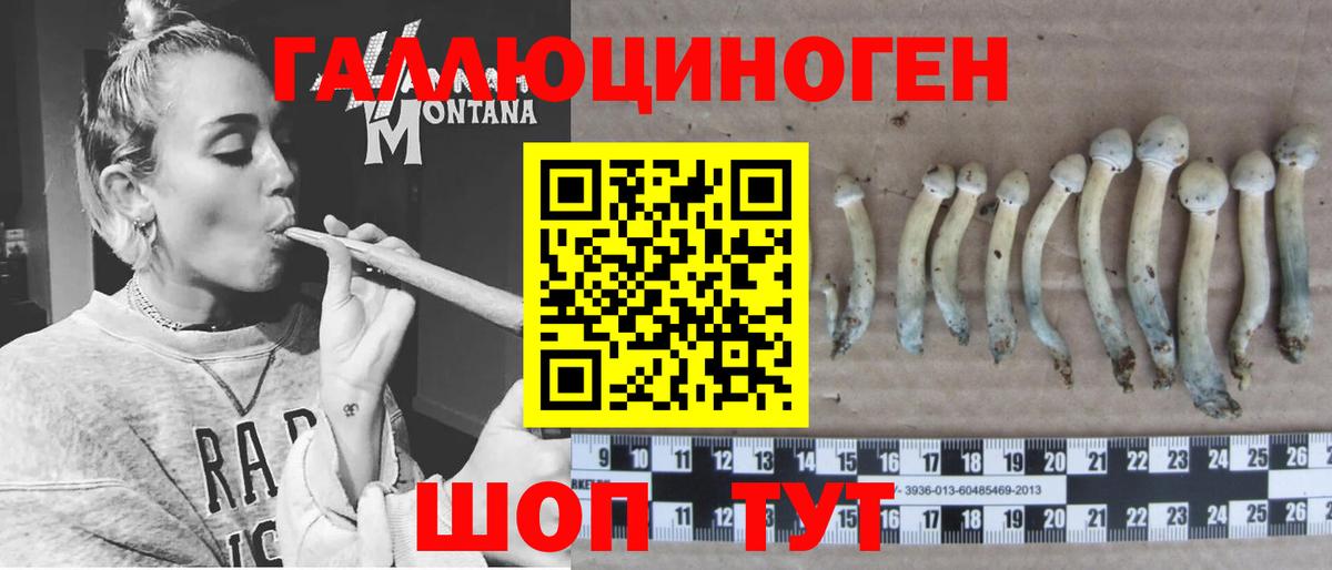 Псилоцибиновые грибы Magic Shrooms  Вход с VPN  Мурино 